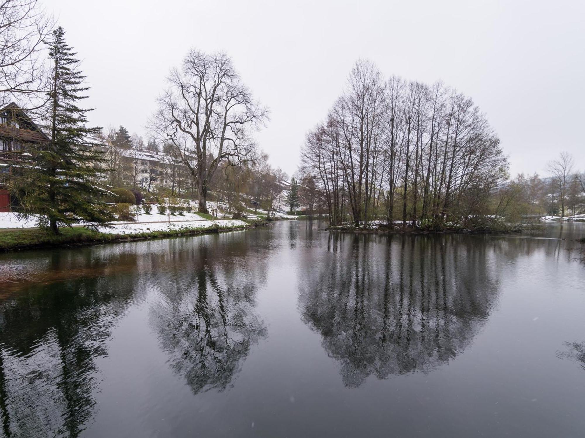 Ferienwohnungen Seeblick Unterkirnach Екстериор снимка