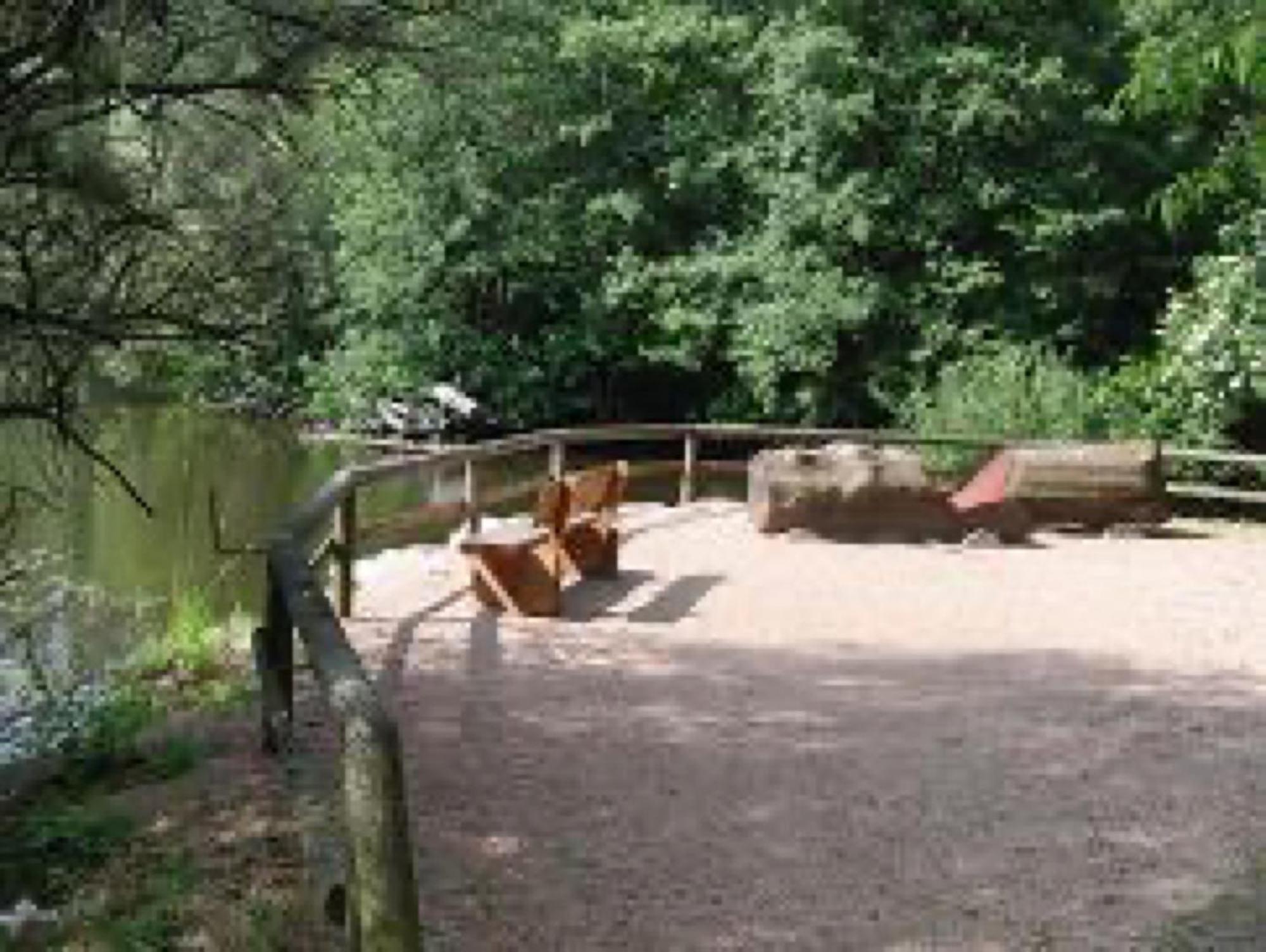 Ferienwohnungen Seeblick Unterkirnach Екстериор снимка
