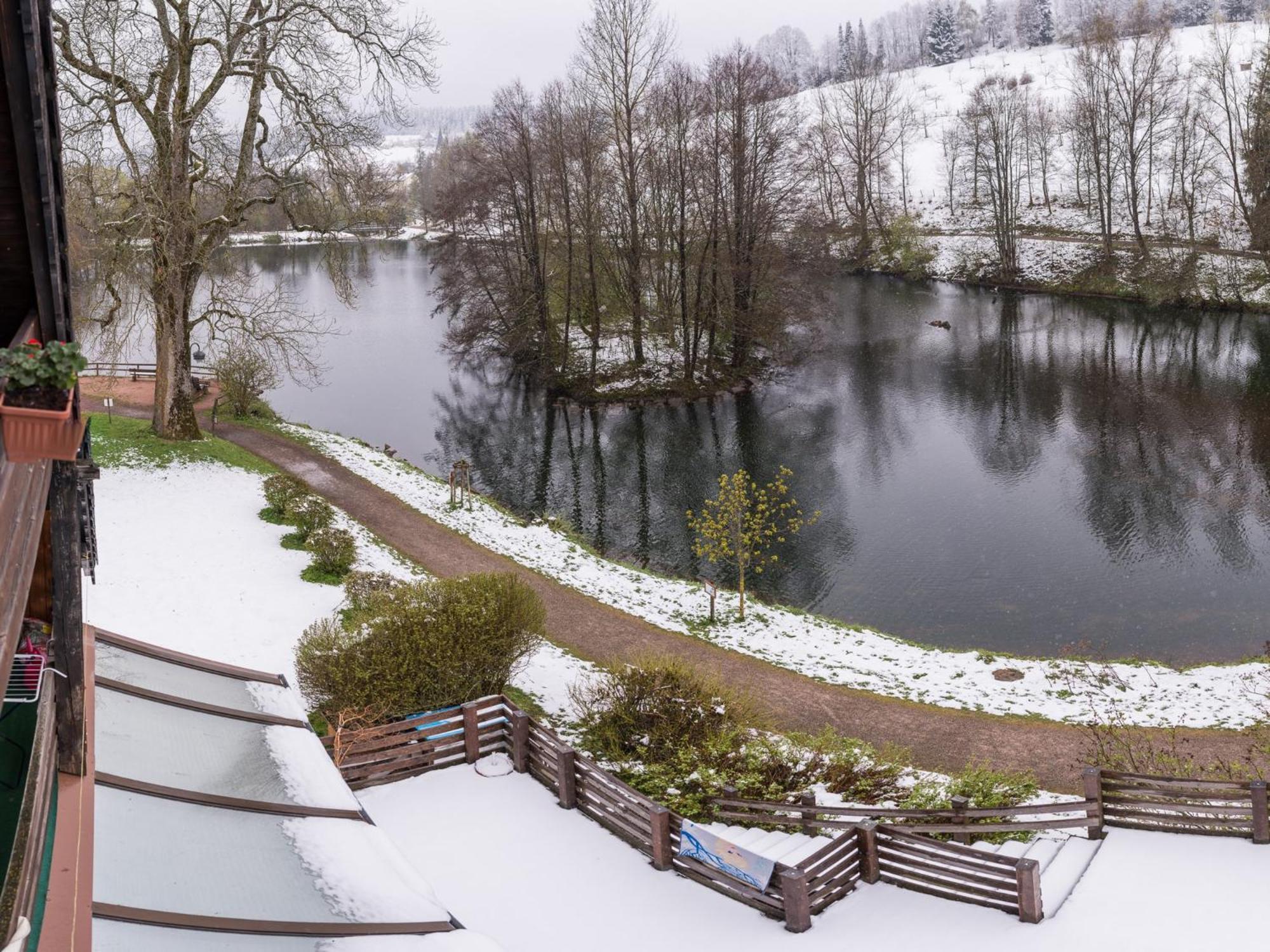 Ferienwohnungen Seeblick Unterkirnach Екстериор снимка